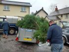 The tree arrives