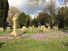 The churchyard blooming, by Joy